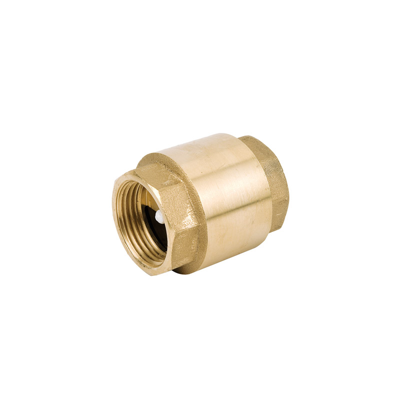 Non-Return Check Valve / Vertical-Spring Type 